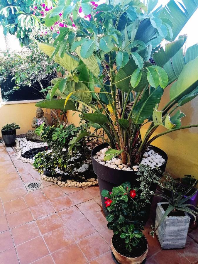 Vivienda Vacacional Vaiana Las Rosas  Dış mekan fotoğraf